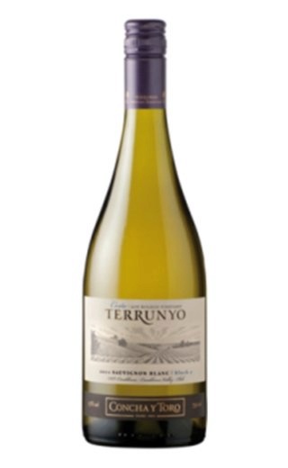 фото вино Concha y Toro Terrunyo Sauvignon Blanc 0,75 л