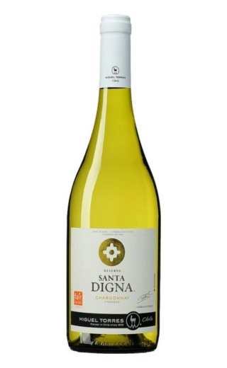 фото вино Torres Santa Digna Chardonnay Reserva 2015 0,75 л