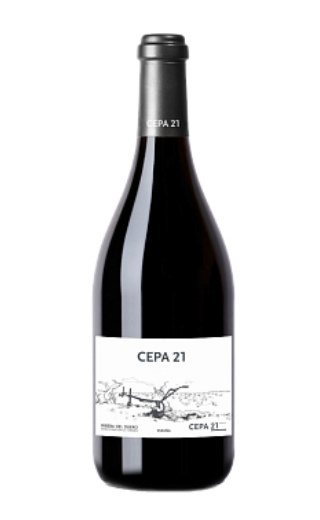 фото вино Bodegas Cepa 21 Ribera del Duero DO 2015 0,75 л