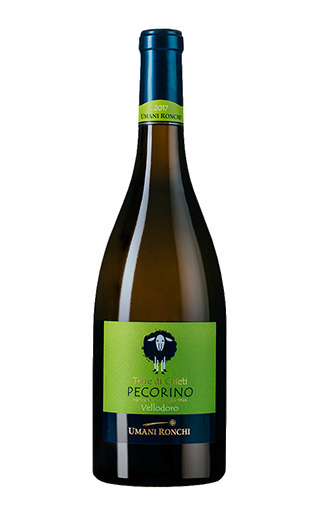 фото вино Umani Ronchi Vellodoro Pecorino Terre di Chieti 2017 0,75 л