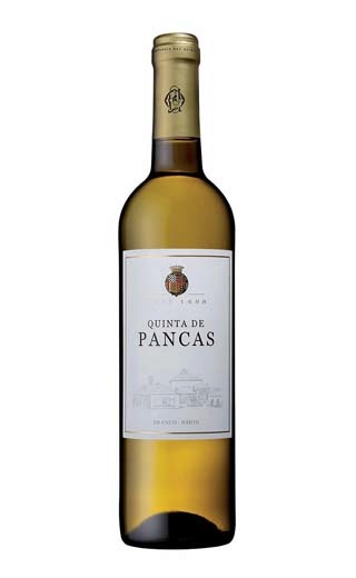 фото вино Pancas White Dry 0,75 л