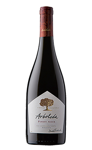 фото вино Vina Arboleda Pinot Noir 2017 0,75 л