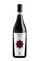 Вино Molino Barbera d'Alba Superiore 0,75 л