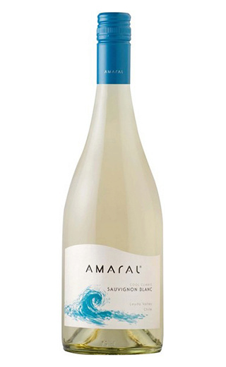 фото вино Montgras Amaral Sauvignon 2015 0,75 л