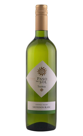 фото вино Terramater Paso Del Sol Sauvignon Blanc 2017 0,75 л