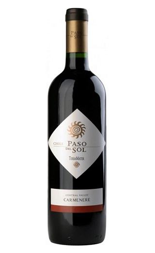 фото вино Terramater Paso Del Sol Carmenere 2013 0,75 л