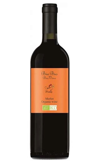 фото вино Cielo e Terra Bio Bio Merlot 2017 0,75 л