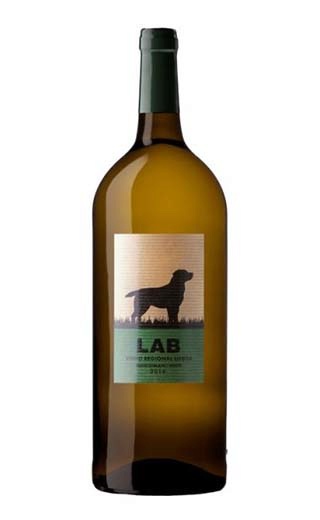 фото вино Casa Santos Lima Lab White Dry 1,5 л