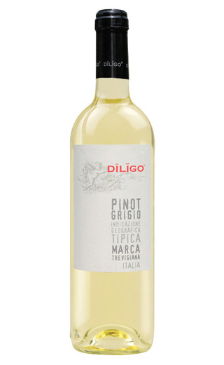 фото вино Anna Spinato Diligo Pinot Grigio 2017 0,375 л