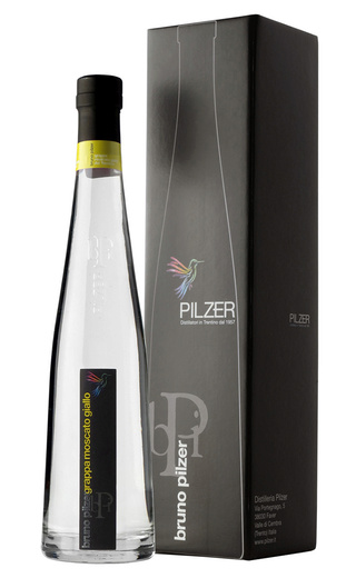 фото граппа Pilzer Grappa Grappa di Moscato Giallo 0,5 л