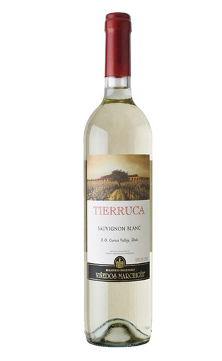 фото вино Tierruca Sauvignon Blanc 0,75 л