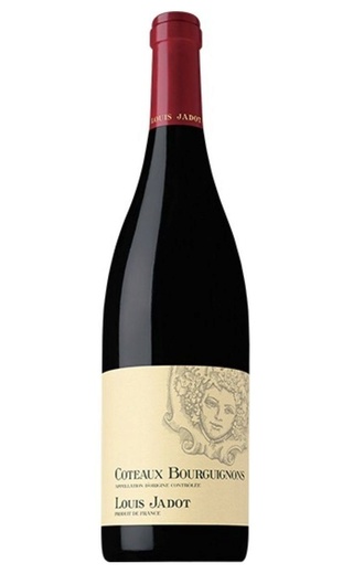 фото вино Louis Jadot Coteaux Bourguignons Rouge 2017 0,75 л