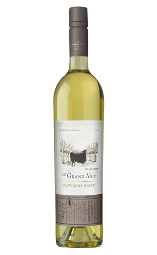 фото вино Le Grand Noir Winemaker's Selection Sauvignon Blanc 2017 0,75 л