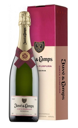 фото игристое вино Juve y Camps Cinta Purpura Reserva Brut 2016 0,75 л