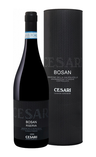 фото вино Gerardo Cesari Bosan Amarone della Valpolicella Classico Riserva 2009 0,75 л