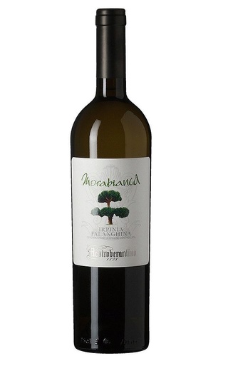 фото вино Mastroberardino Morabianca Irpinia Falanghina 2016 0,75 л