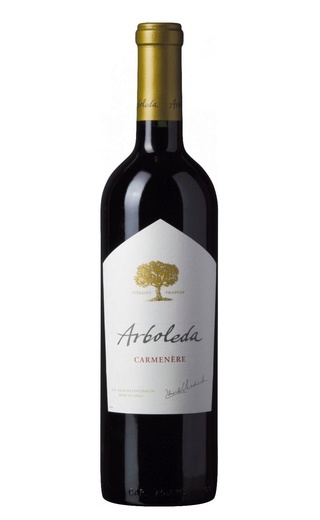 фото вино Vina Arboleda Carmenere 2017 0,75 л