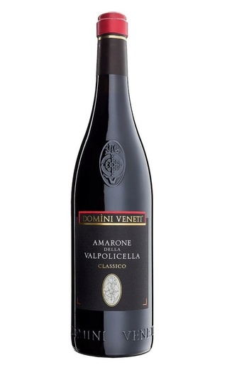 фото вино Domini Veneti Amarone della Valpolicella Classico 2015 1,5 л