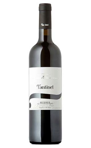 фото вино Fantinel Refosco Borgo Tesis 2017 0,75 л