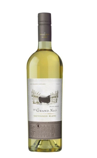 фото вино Le Grand Noir Winemaker's Selection Sauvignon Blanc 2019 0,75 л