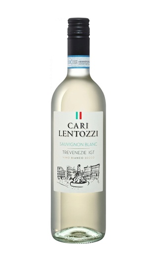 фото вино Villa degli Olmi Cari Lentozzi Sauvignon Blanc Trevenezie 2019 0,75 л