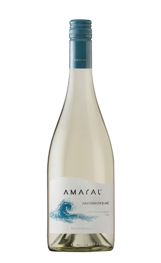 фото вино Montgras Amaral Sauvignon Blanc 2018 0,75 л