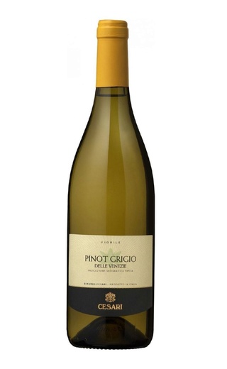 фото вино Gerardo Cesari Salvalai Pinot Grigio 2019 0,75 л