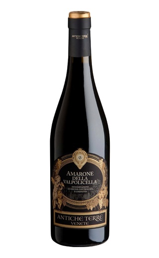 фото вино Antiche Terre Venete Amarone della Valpolicella 2016 0,75 л