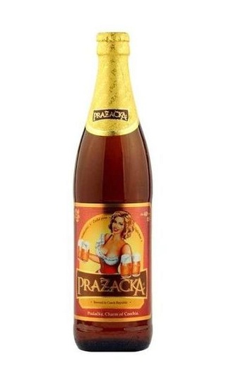 фото пиво Prazacka 20 шт. 0,5 л