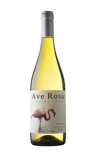 фото вино Ave Rosa Chardonnay 2019 0,75 л