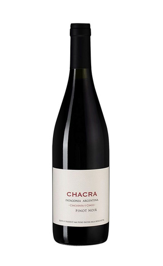 фото вино Bodega Chacra Cincuenta y Cinco 2019 0,75 л