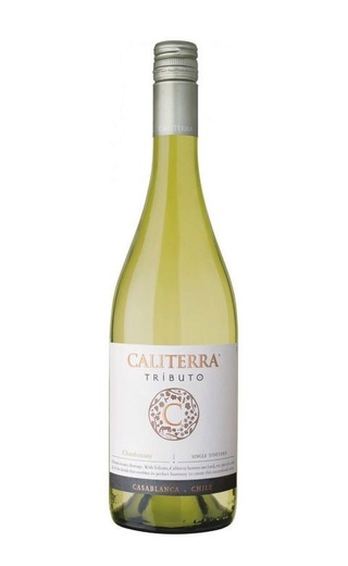 фото вино Vina Caliterra Chardonnay Tributo 2019 0,75 л