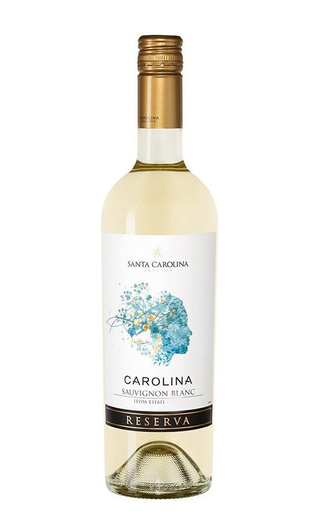 фото вино Santa Carolina Reserva Sauvignon Blanc 2019 0,75 л