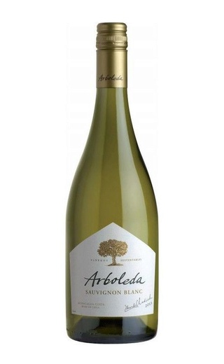 фото вино Vina Arboleda Sauvignon Blanc 2019 0,75 л