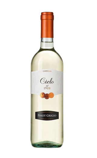 фото вино Cielo e Terra Tai Pinot Grigio 2019 0,75 л