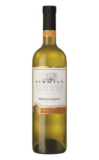 фото вино Mezzacorona Castel Firmian Traminer Moscato Giallo 2019 0,75 л