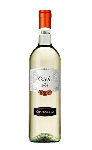 фото вино Cielo e Terra Gruppo Cantine Colli Berici Chardonnay delle Venezie 2019 0,75 л