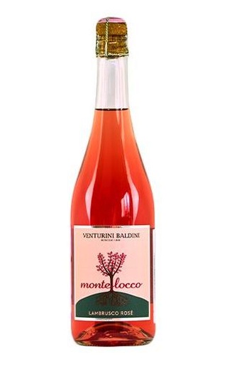 фото игристое вино Venturini Baldini Montelocco Rosato Lambrusco 0,75 л