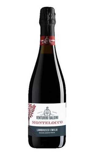 фото игристое вино Venturini Baldini Montelocco Lambrusco 0,75 л