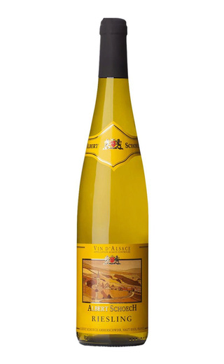 фото вино Albert Schoech Riesling 2019 0,75 л