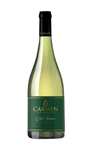 фото вино Carmen Gran Reserva Sauvignon Blanc 2019 0,75 л