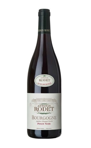 фото вино Antonin Rodet Bourgogne Pinot Noir 2018 0,75 л