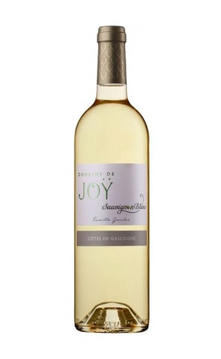 фото вино Domaine de Joy Sauvignon Blanc 2019 0,75 л