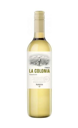 фото вино Finca La Colonia Torrontes 2019 0,75 л