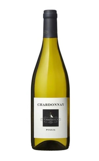 фото вино Tormaresca Chardonnay Puglia 2018 0,375 л