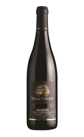 фото вино Villa Molino Amarone della Valpolicella 2015 0,75 л