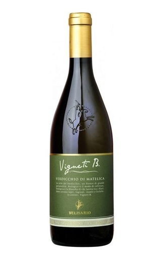 фото вино Belisario Vigneti Verdicchio di Matelica 2018 0,75 л