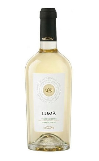 фото вино Cantine Cellaro Chardonnay Luma 2019 0,75 л