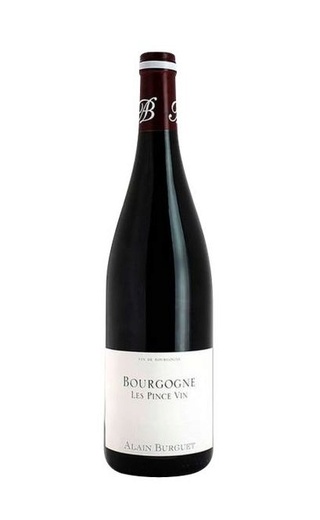 фото вино Alain Burguet Bourgogne Rouge les Pince Vin 2018 0,75 л