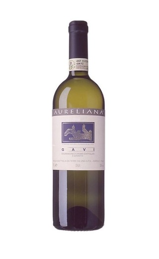 фото вино Terre da Vino Gavi Aureliana 2017 0,75 л